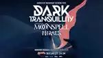 DARK TRANQUILLITY